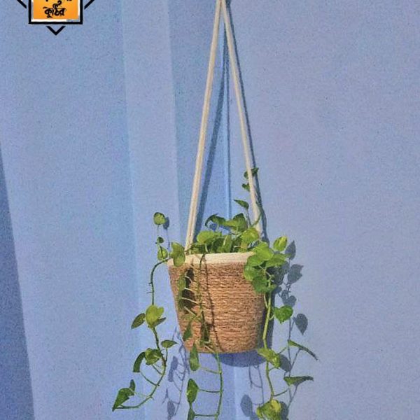 Wall hanging pot