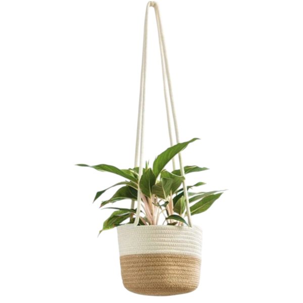 Wall hanging pot